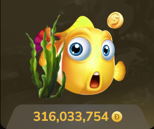 KINGKONG官网最新